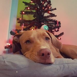 Meet your Posher, Hanna